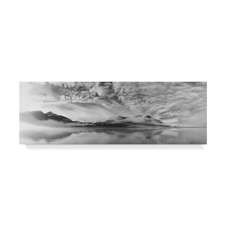Marloes Van Pareren 'Morning Mist Gray' Canvas Art,8x24